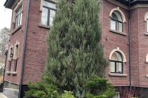 Новый фасад для загородного особняка